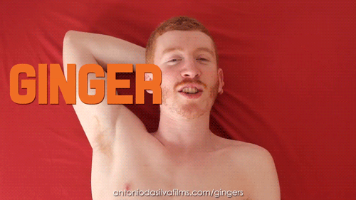 gingers-ginger-ninja