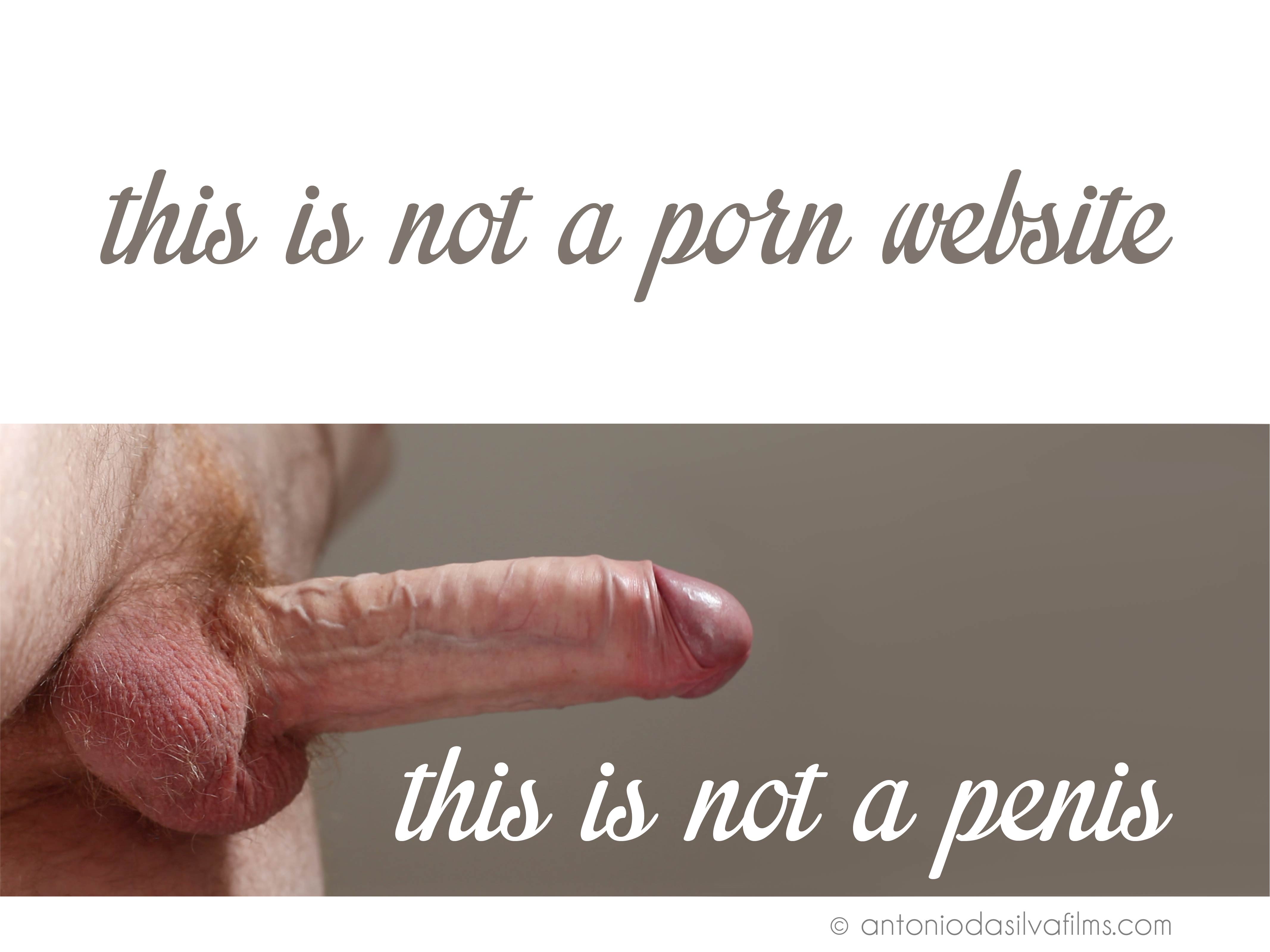 This is not a porn website : this is not a penis